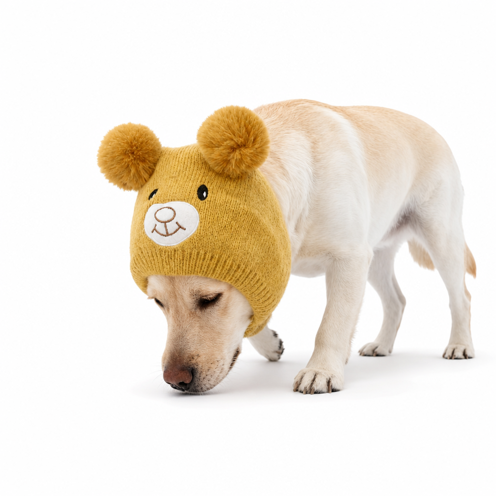Cute Puppy Ear Winter Knit Hat with Ear Flaps