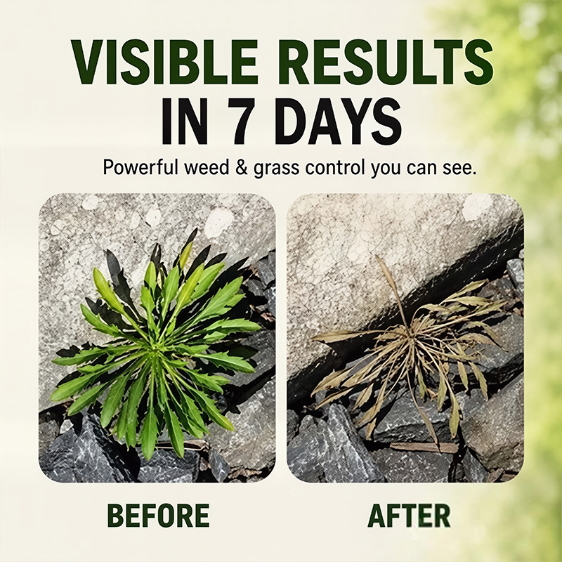 🔥🔥2026 SALE - Fast-Acting Natural Weed & Grass Killer Spray