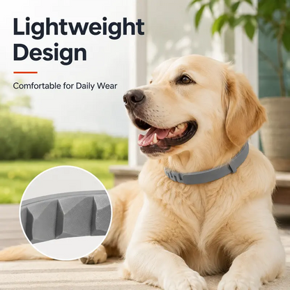 Gainstarx Adjustable Fresh Scent Lightweight Dog Collar🐶