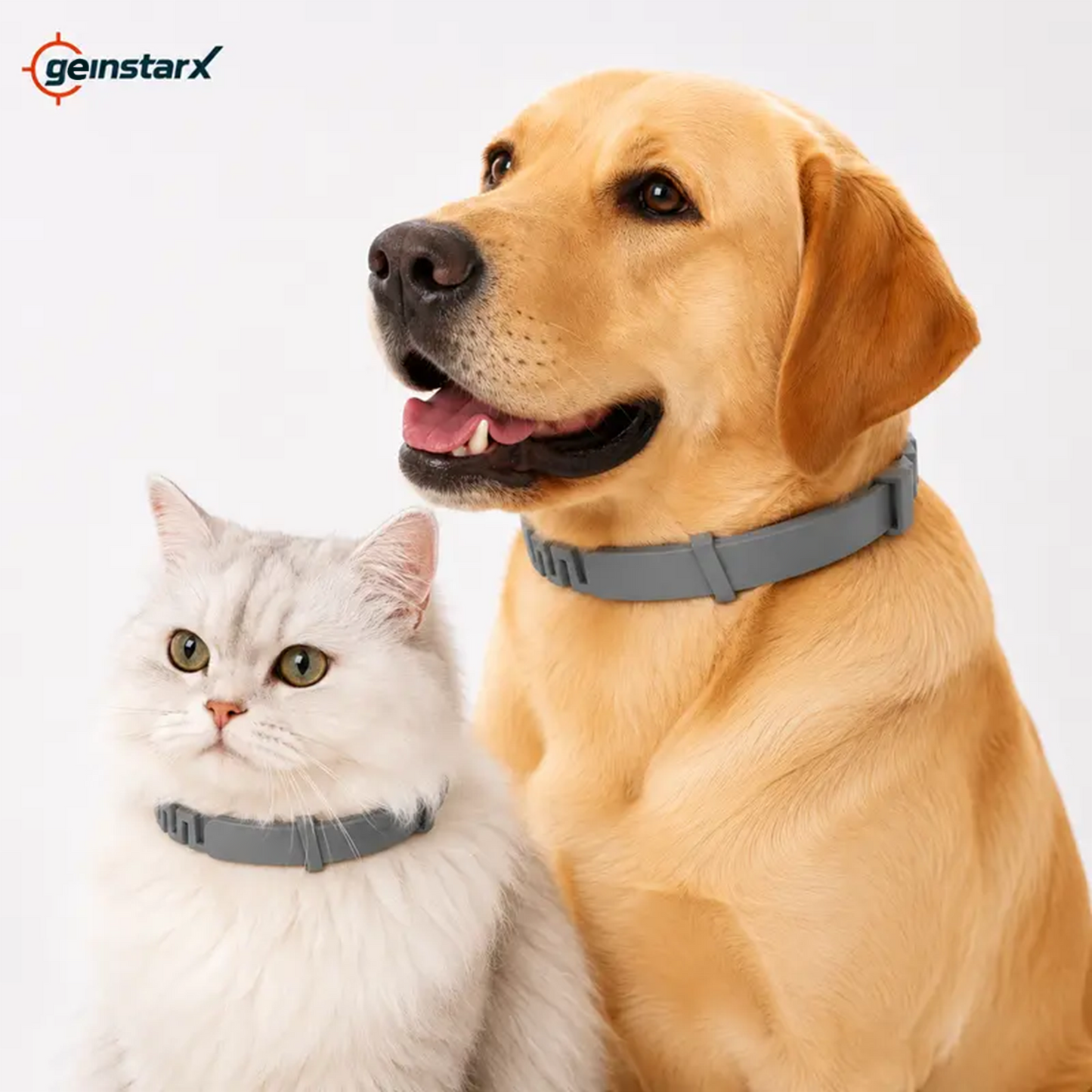 Gainstarx Adjustable Fresh Scent Lightweight Dog Collar🐶